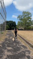 Morning walk with a Pomeranian, photos included.