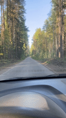 Vehicle travels forest road near Chaykovsky, Russia