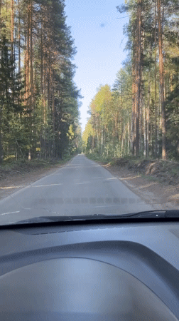 Vehicle travels forest road near Chaykovsky, Russia