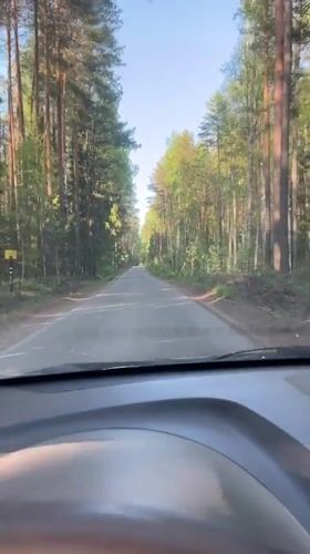 Vehicle travels forest road near Chaykovsky, Russia