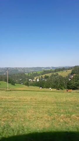 The video begins with a wide shot of a rural landscape under a clear blue sky. Rolling green hills, dotted with trees and scattered houses, stretch into the distance. A wooden utility pole stands in the foreground on the left side of the frame. As the video progresses, the camera pans slightly to the right, revealing more of the undulating terrain. In the mid-ground, a field of green grass is visible, with a few white objects that appear to be animals, possibly cows, grazing. Further into the background, more houses and trees are interspersed across the hills. The camera then moves forward, and a small portion of a building with a dark roof and a stone foundation comes into view on the left side of the frame. The rest of the scene continues to show the same rural landscape with hills, trees, and houses. The overall impression is that of a scenic view of the countryside.