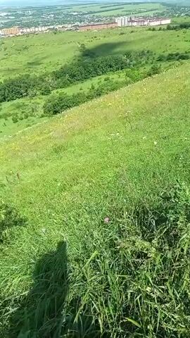 The video begins looking down a steep, grassy hill. In the distance, there is a town with buildings. The camera pans slowly down the hill, showing a shadow of a person's head and shoulders in the lower left corner. The hill is covered in green grass and some small purple and white wildflowers. The sky is visible in the upper portion of the video.