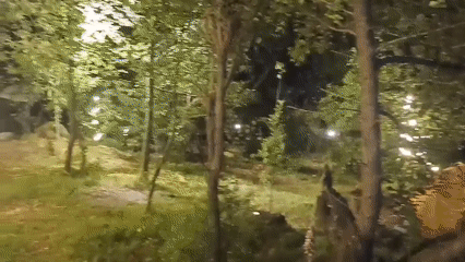 Monks and mountain scenes documented in Old Manali