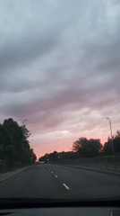 Evening drive captures pink sunset over tree-lined Gillingham road