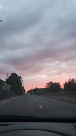 Evening drive captures pink sunset over tree-lined Gillingham road