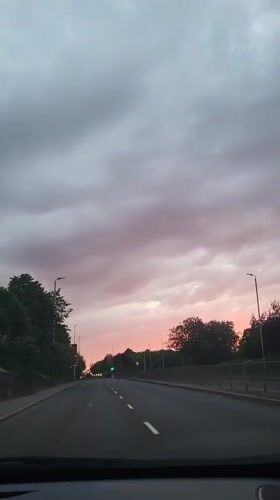 Evening drive captures pink sunset over tree-lined Gillingham road