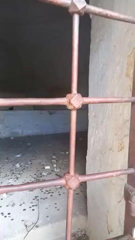 A video shows a view through rusty metal bars into a dimly lit, enclosed space. The floor of the space is covered with scattered coins and some crumpled papers. In the background, there appears to be a raised platform or ledge, and the walls are concrete or stone. There are no people visible in the video. The overall impression is of an abandoned or neglected interior.