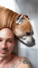 Man and dog share quiet moment on floor in Pleven
