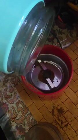 A close-up shot shows coffee beans being poured from a teal-colored blender cup into the red grinding chamber of a coffee grinder. The camera angle is from above and to the side, looking down into the grinder. Some ground coffee is already visible in the grinder's chamber. The background consists of a patterned rug and a wooden floor.