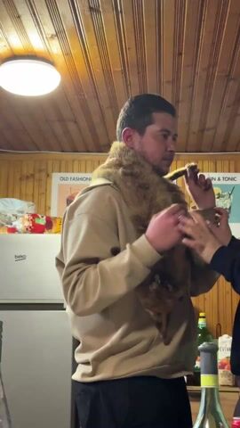 In a warmly lit indoor space with a wood-paneled ceiling and walls, a man is the focus of a short video clip. He wears a tan-colored hooded sweatshirt over a black shirt, and has donned what appears to be a fox fur stole around his neck, complete with the head and paws of the animal still attached. A woman, whose hands and part of her arm are visible, seems to be helping him adjust the fur piece. The man looks slightly amused. There is a white refrigerator to his left, and on the wall behind him hang two cocktail recipe posters, one for an Old Fashioned and one for a Gin & Tonic. A bottle of wine and a carton of orange juice are visible on a counter in the foreground. The man briefly dances.