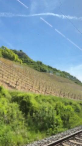 The video was taken from a moving train looking out the window at a hillside vineyard on a sunny day. The rows of dormant grapevines run horizontally across the hillside, with green grass at the bottom. The top of the hill is covered in trees. The sky is blue with contrails. The train tracks are visible at the bottom of the frame. The camera movement is steady and follows the motion of the train.