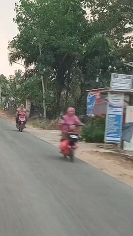 A motor scooter carrying two individuals travels down a paved road. The scooter is red and has a large red box on the back. The individuals are blurry due to the motion of the scooter and the camera. The road is lined with trees and houses. The sky is overcast.