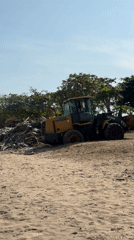 Beach cleanup equipment and dog walker spotted in Jimbaran
