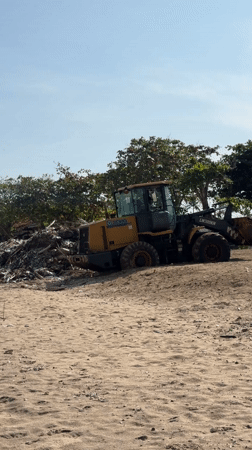 Beach cleanup equipment and dog walker spotted in Jimbaran