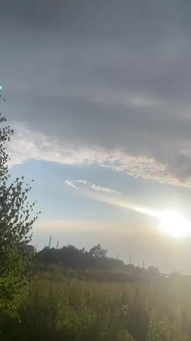 A vertical video shows a rural landscape under a partly cloudy sky. The sun is visible, shining brightly and creating lens flare. The foreground is filled with tall green grass and some wildflowers. In the middle ground, there are trees and some structures that appear to be houses. Utility poles are also visible. The camera is moving slowly, panning slightly from left to right, capturing the serene, natural environment. The lighting suggests it is either early morning or late afternoon. There are no people or animals visible in the frame.