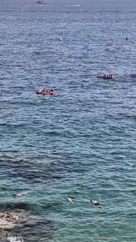 The video shows a wide shot of a body of water. In the foreground, near the left side, is a rocky shoreline with several people swimming and snorkeling. Further out in the water, there are two red kayaks, each with multiple occupants. In the distance, there are a few boats on the horizon and a yellow buoy. The water is a deep blue, with lighter, turquoise areas closer to shore, indicating shallower depths. The sky is overcast.