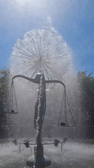 Dog walk and fountain scenes in central Chișinău on a summer morning