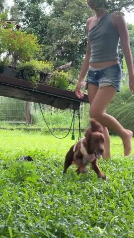 A brown dog with floppy ears is running through a grassy field. The dog is wearing a harness. In the background, there are some tall green plants, two rectangular structures that appear to be buildings or shelters, and a glimpse of a white tarp. The camera is moving, causing a motion blur, especially in the later frames, as it follows the dog.