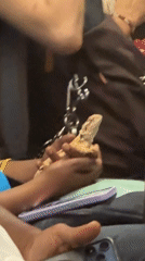 Person holds spiky lizard in New York encounter