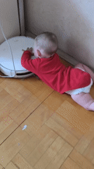 Domestic scenes: baby, child, dog recorded in home setting