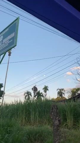 The camera is inside a vehicle driving along a rural road on a sunny day. The road is lined with tall green grass and trees, including palm trees. There is a bare tree with a few green leaves sprouting. Next, a rundown building with a wooden frame is seen. Banners are draped across its facade. Power lines stretch across the sky.