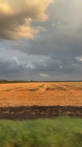 This media file captures a picturesque rural landscape, likely during the late afternoon or early evening given the warm, golden light illuminating the scene. The central subject is a vast, harvested wheat field, its golden stubble arranged in neat, parallel rows that recede into the distance. A strip of dark, tilled soil runs along the bottom edge of the field, contrasting with the harvested grain.

In the foreground, a blurred band of vibrant green suggests passing vegetation, possibly the edge of the field or trees along a roadside, indicating the viewer is in motion, perhaps traveling by car or train. The sky above is dramatic, filled with a mix of heavy, dark storm clouds and patches of bright, illuminated sky, suggesting a dynamic weather system. The light catching the edges of the clouds creates a beautiful, almost painterly effect, with shades of gold, orange, and grey.

The setting is clearly agricultural, with the extensive field dominating the view. The distant treeline hints at a border to the cultivated land, and the overall impression is one of open, rural space. There are no people or man-made objects directly visible in the frame, emphasizing the natural beauty of the environment. The mood is serene yet dramatic, with the interplay of light and shadow creating a sense of depth and atmosphere. There is no visible text in the media file. The location context is Maryinskiy, Russia, which aligns with the rural, agricultural imagery.