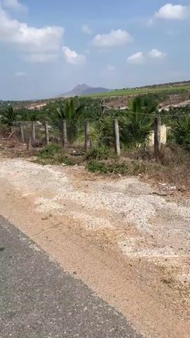 The video shows a view from a moving vehicle traveling on a paved road in a rural area. The landscape consists of fields, trees, and sparse vegetation. In the distance, a mountain is visible against a partly cloudy blue sky.  As the vehicle moves, the foreground reveals a dirt shoulder and roadside debris.  There are some structures, including small buildings and what appear to be construction sites, visible beyond the roadside. The vegetation includes some trees with reddish flowers. The weather appears to be sunny and clear.