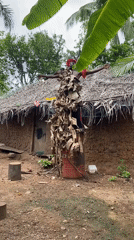 Traditional ceremony with elaborate costumes documented in Achara, Nigeria