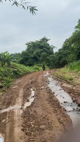 The video displays a first-person view from a motorcycle traveling along a muddy, unpaved dirt road. The road is characterized by deep ruts, numerous puddles, and uneven terrain. A small stream or ditch with flowing water runs parallel to the right side of the road. Dense green vegetation, including tall trees and shrubs, flanks both sides of the road. In the distance, two other motorcycles are visible, moving away from the camera's perspective on the same muddy path. The sky is overcast. The handlebars, speedometer, and a portion of the rider's red shirt and green fabric are visible at the bottom of the frame.