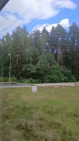 The video shows a view from a moving vehicle, likely a train, traveling through a rural area. The scene is dominated by lush green vegetation, including trees, grass, and bushes. In the distance, a dense forest of tall pine trees lines the horizon. A paved road is visible running through the landscape, with a few white posts lining its edge. Further along, a small, light-colored wooden house with a dark roof and a white-framed window comes into view. The house has a porch with a wooden railing. As the vehicle continues, more buildings and structures appear, suggesting a small settlement or village nestled amongst the trees. The sky is blue with scattered white clouds. The overall impression is of a tranquil, natural environment.