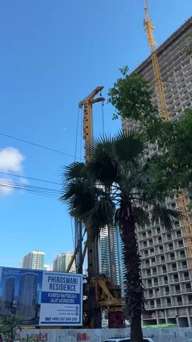 This media file captures an outdoor scene in Batumi, Georgia, featuring a construction site under a clear blue sky with scattered clouds. The primary subjects are a tall, unfinished building with a yellow construction crane at its summit, and a large drilling rig positioned in front of it. A palm tree stands prominently in the foreground, obscuring part of the drilling rig.

The activity depicted is construction. The drilling rig suggests foundation work or pile driving is in progress. The unfinished building indicates ongoing development.

Notable details include the time of day, which appears to be daytime, likely late morning or early afternoon, given the bright sunlight and the visible crescent moon. The weather is fair and sunny. Beyond the construction site, other modern buildings and skyscrapers are visible in the distance, suggesting an urban environment.

There is visible text on a blue and white billboard in the foreground. It displays the name "PHIROSMANI RESIDENCE" in large letters. Below this, in smaller text, are the words "THE RESIDENCE," and further down, a phone number: "+995 557 200 200." There are also some words in Georgian script on the billboard, but they are not fully legible. The overall mood of the scene is one of progress and urban development, with a hint of tropical ambiance due to the palm tree.