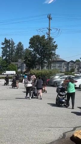 A group of approximately a dozen women, many pushing baby strollers, are walking across a paved parking lot on a clear, sunny day. The women are dressed in casual attire, mostly dark-colored shorts, leggings, and t-shirts. They are generally moving from the left side of the frame towards the right, with some individuals closer to the foreground and others further back.

In the background, numerous cars are parked, and there are multi-story residential buildings with various trees and green foliage. Overhead, power lines are visible against the bright blue sky. The sunlight casts distinct shadows, indicating it is likely midday or early afternoon. The overall setting appears to be a suburban or town environment in Pitt Meadows, Canada, given the user-provided context. The activity seems to be a casual group walk or outing for mothers with young children. No visible text is present in the video frames. The accompanying audio contains a male voice speaking Russian, saying "Сейчас на площадь выходят детские войска" (Now the children's troops are coming out to the square), which appears to be a separate audio overlay or commentary.