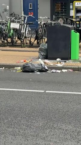 The video shows a street scene with a sidewalk littered with trash and two black garbage bags. A seagull is standing on the trash near one of the bags. In the background, there are several bicycles parked and a black dumpster. A person wearing an orange vest and helmet is riding a bicycle past the scene. An ATM is visible on a building in the background.