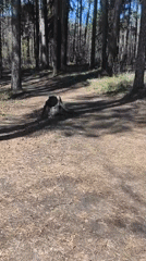Woman documented in forest near Izhevsk, Russia