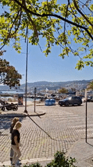 Harbor plaza scene captured on video during sunny day