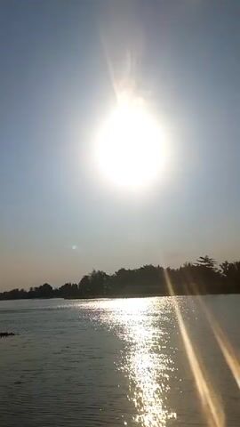 This video shows a wide shot of a body of water with the sun shining brightly in the sky. The sun is high in the frame and appears to be slightly off-center to the left, with its rays creating a lens flare effect that extends down and to the right. The water reflects the sunlight, creating a shimmering effect. In the background, there is a treeline that separates the water from the sky. The sky is a clear blue. There are no people or discernible objects in the video besides the natural elements. The overall scene is one of a bright, sunny day over a body of water.