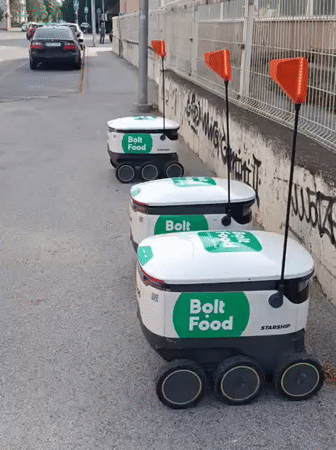 Starship delivery robots and local grocery finds in Tallinn