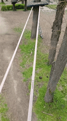 Slacklining practice captured in Plovdiv park