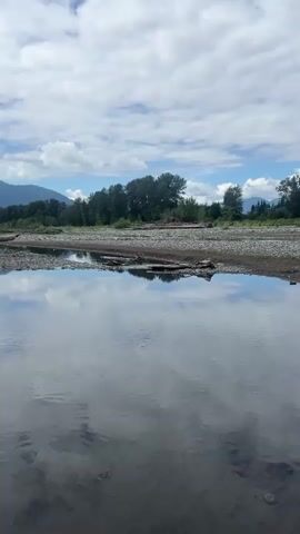 A calm, shallow body of water fills the foreground. The water is dark and reflects the sky and trees. The surface of the water is mostly still with some small ripples. In the midground, there is a gravelly shore lined with small rocks and driftwood. Beyond the shore is a line of trees with green foliage. The background shows rolling hills and mountains under a bright blue sky with fluffy white clouds. The scene is peaceful and natural.