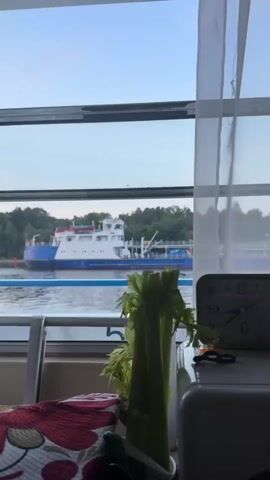 A view from inside a room looking out a window at a body of water. A large blue and white boat is on the water. Trees line the opposite shore. Inside the room, a bundle of celery is in the foreground, along with a red and white patterned cloth, and a green alarm clock.