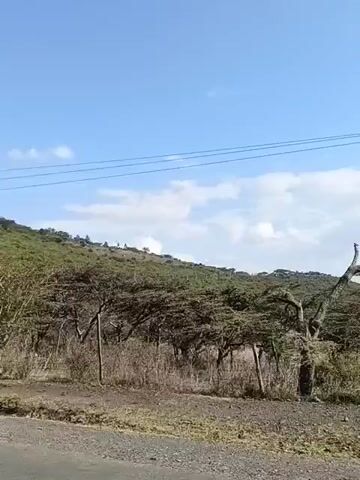 The video shows a landscape with a dirt road in the foreground, followed by dry grass, sparse trees, and a hill in the background. The sky is blue with some white clouds. The camera appears to be moving, perhaps from a vehicle. There are utility poles and wires visible along the roadside. The vegetation appears dry and possibly drought-stricken.