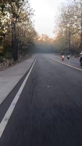 The video shows a first-person perspective of someone riding a motorcycle or scooter on a paved road. The road is lined with trees on both sides, and the sun is setting or rising, casting a warm light through the trees. There are other motorcycles visible in the distance on the right side of the road. The rider is moving forward, and the trees and surroundings are blurred due to the motion.