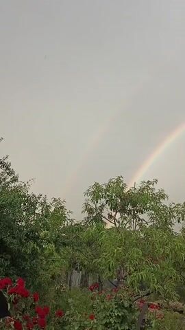 This video displays a double rainbow appearing in a cloudy sky over a garden and a house. In the foreground, there are lush green trees and red roses. The first frame shows a double rainbow stretching across the sky, with the trees and roses visible at the bottom. As the video progresses, the camera pans across the scene, revealing more of the garden and a dark-tiled roof of a house. The second rainbow is fainter than the first. The sky is overcast, suggesting recent or ongoing rain. No people are visible in the video.