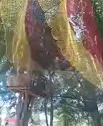 The video shows a low-angle shot looking up at trees with colorful fabric or netting draped above them. The fabric appears to be made of mesh material in vibrant colors like yellow, red, and blue, possibly resembling a rainbow. In the background, there are glimpses of trees and foliage, and a structure that looks like a treehouse is visible amongst the branches on the left side of the frame. There are no people clearly visible or identifiable actions taking place. The overall impression is of an outdoor decorative installation in a wooded area.