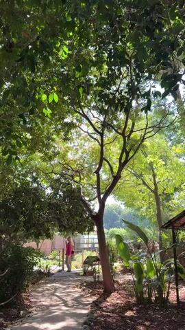 A person wearing a pink shirt and light-colored pants walks down a stone path in a lush, green garden. The path is surrounded by trees and foliage, with sunlight filtering through the leaves, creating dappled shadows on the ground. In the background, there appears to be a building with a roof. The scene is peaceful and serene.