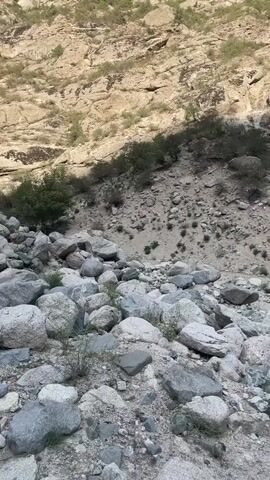 The video pans across a rocky, arid landscape. A steep, light-colored mountain slope dominates the upper portion of the frame. The slope is textured with numerous horizontal and diagonal cracks and crevices, and sparse green vegetation grows in patches. Below the mountain, the terrain transitions to a less steep, rocky slope covered in a mix of large and small gray and white boulders. Scattered patches of dry, scrubby vegetation grow between the rocks. The lighting suggests it is daytime, with some areas in shadow cast by the mountain. There are no people or animals visible in the video.