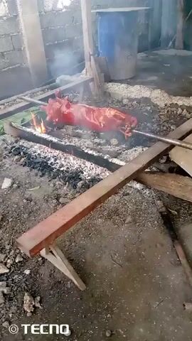 A whole pig is being roasted over an open fire. The pig is skewered on a metal rod and is slowly rotating. The fire is made of wood and coals, and there is a lot of smoke rising from the fire. The pig is reddish-brown in color, and its skin appears to be crispy. The roasting is taking place outdoors, on a dirt floor. There is a wooden structure supporting the spit. In the background, there is a concrete wall and a blue barrel. The scene is rustic and appears to be a traditional method of cooking.