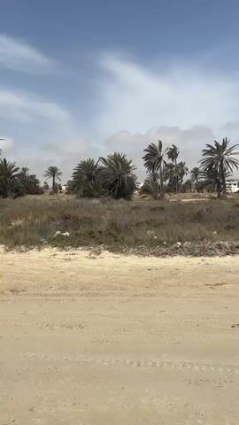 The video shows an outdoor scene with sandy terrain and palm trees under a cloudy sky. In the foreground, there's a dirt track with tire marks. A red ATV is visible in the middle ground, with two people standing near it. Further in the distance, a group of people and ATVs are gathered on a sandy area, possibly by a body of water. The overall atmosphere appears to be casual, possibly indicating an recreational activity like an ATV tour.