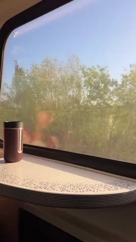 The video shows an interior view from a moving train, looking out of a large window on a sunny day. A dark red travel mug sits on a light-colored, patterned table attached to the window frame. Outside, the scenery rapidly changes, featuring green trees, grassy areas, and various buildings, some appearing industrial or commercial. The sky is clear and blue. At one point, a large building with Dutch text "ALTUD AL EENS WILLEN SCHIETEN" (Always wanted to shoot/blast) is visible through the window. The overall scene suggests a pleasant journey through a varied landscape.