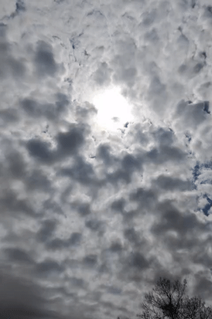 Spring day documented in rural Izgrev, Bulgaria countryside
